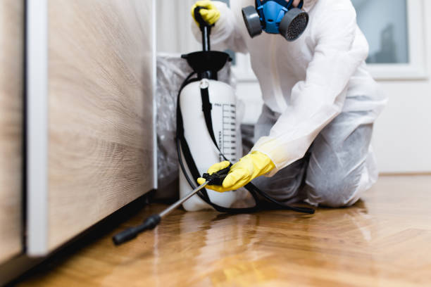 Best Residential Pest Control  in Sheridan, AR