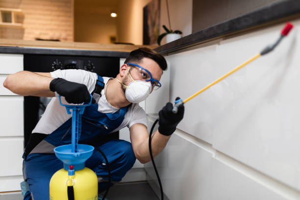 Best Bed Bug Extermination  in Sheridan, AR