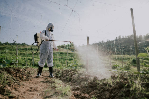 Best Affordable Pest Control Services  in Sheridan, AR
