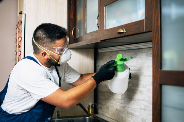 Best Flea Control Services  in Sheridan, AR