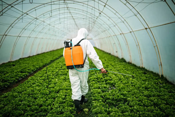 Best Mosquito Control Services  in Sheridan, AR