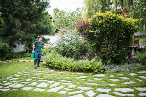 Professional Pest Control in Sheridan, AR