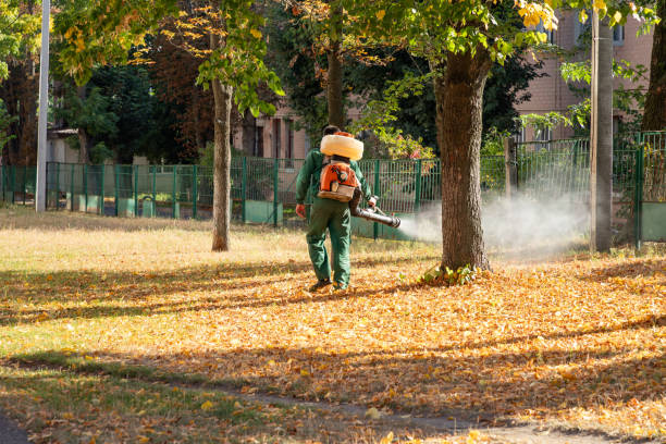 Best Affordable Pest Control Services  in Sheridan, AR