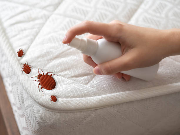 Best Insect Control  in Sheridan, AR