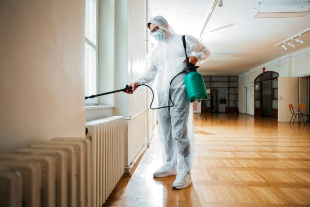 Best Bed Bug Extermination  in Sheridan, AR
